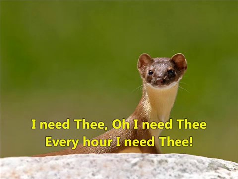 I NEED THEE EVERY HOUR (hymns with lyrics)