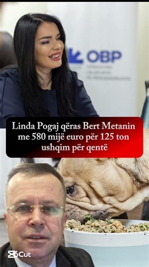Linda Pogaj qëras Bert Metanin me 580 mijë euro për 125 ton ushqim për qentë