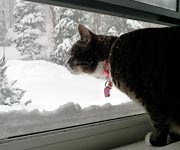 Ask Umbra: Is it bad to leave a window open when the heat is on?