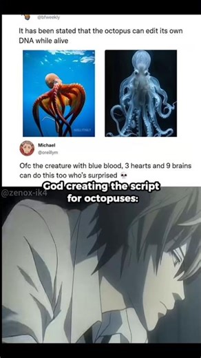 God creating script for octopus 🦑