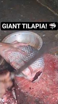 Super Fast Tilapia Fish Cutting Skills! 🔪🐟 #shorts #satisfying #fishcutting