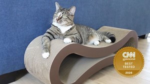 The best cat scratching posts in 2026, tried and tested | CNN Underscored