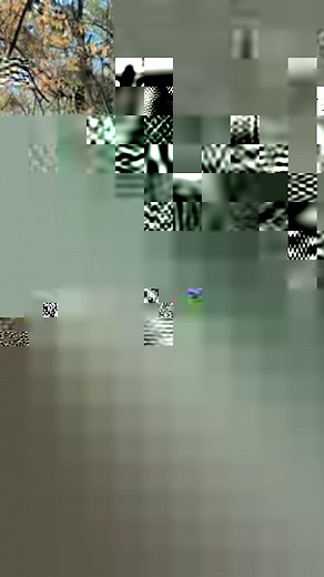 Stop and check out this AMAZING special for quad biking. At this price there is no reason why you shouldn't come for a quad bike ride! Go to https://horseridingadventure.co.za/product/quad-biking-braai/ and get yourself this special NOW! | Horse Riding Adventure