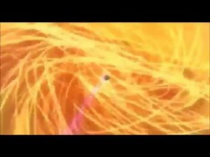 Hoopa Unbound vs Arceus