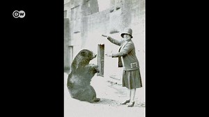 10K views · 306 reactions | Conheça a história curiosa do urso de verdade que inspirou a criação do ursinho Puff. | DW Brasil | Facebook