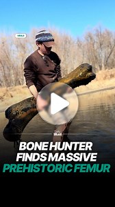 Fossil hunter uncovers massive prehistoric femur bone