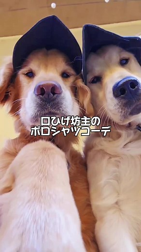 アイスとカジュアルコーデの楽しみ方