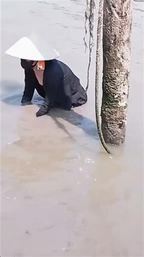 bắt ốc bên cồn