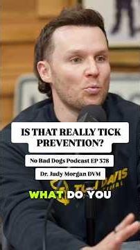 What dog owners should know about tick bites