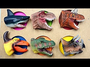 6 Dinosaur Mystery Box! DINOSAUR Hidden Box And Tyrannosaurus Pteranodon Triceratops