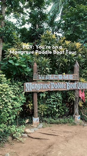 Sabang Mangrove Forest, Puerto Princesa, Palawan Another tour you shouldn’t miss before visiting the Underground River in Puerto Princesa! You’ll paddle through mangrove forest that gives an astounding view into the heart of a serene territory. Was lucky enough to be guided by Lady Mangrove who explained all the history & stories of the mangrove that made me appreciate this tour so much. 🫶🏻 #biancadventure #palawan #palawanphilippines #traveltiktok #travelph #travelphilippines #solotraveler #f