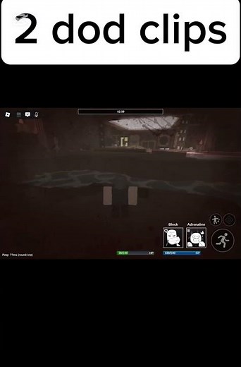2 dod clips