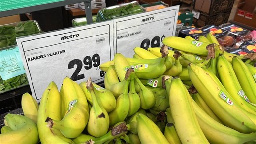 Bananes équitables : un coût minime à payer pour changer la vie des travailleurs qui les récoltent