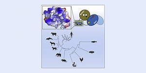 Zinc is a metal essential to life