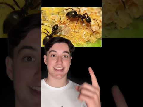 How ordinary objects appear under a microscope