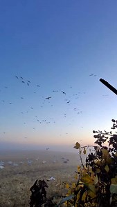 2.2K views · 160 reactions | Getting in there tighter than spandex on a fat man! When the morning is going that good shoot and reload as fast as you can. @jeremyexotic1 doesn’t like to wait too long to get to breakfast 丹 #snowgeese #decoy #geese #hunting #waterfowlhunting #guidelife | Northern Skies Outfitters | Facebook