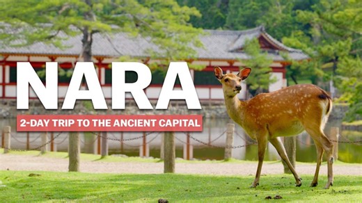 Nara Unveiled: Top 5 Things to See and Do in Japan's Cultural Heart
