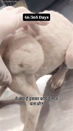 ♣️D₹. Na₹esH~JoGiWaLa♠️ on Instagram