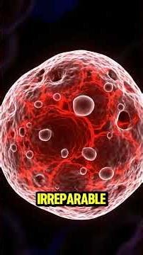 ☢️ Nuclear Alarm on Your Skin: This is how DNA reacts to sunburn #salud #science #anatomiafacil