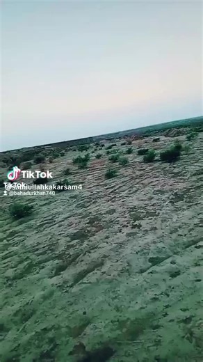 qqe on TikTok