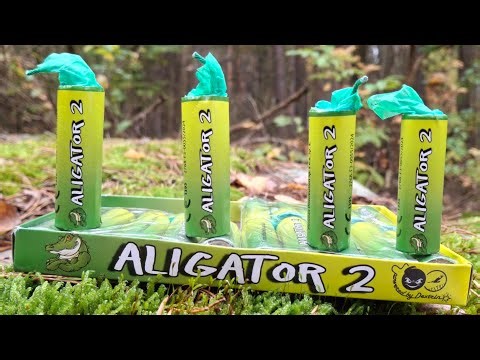 Petardy Aligator 2 Dextrin news 2025 firecrackers Piromax distribution for Dextrin DFB-1