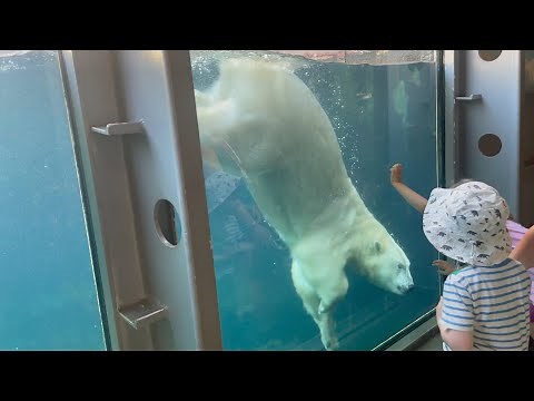 Hannover Zoo | A day at the Zoo | Erlebnis Zoo Hannover