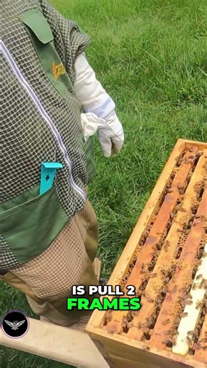 Beekeeper's Nightmare: New Queen Can't Lay Eggs! #shorts
