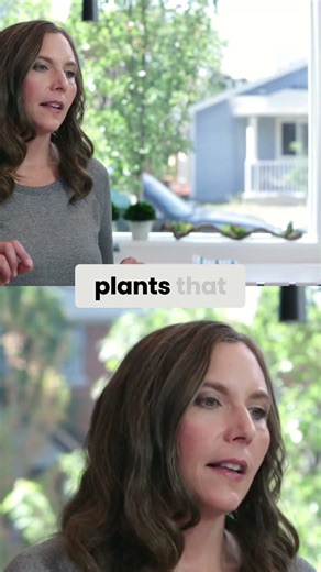 French Aromatherapy Thyme & Lavender for Health & Wellness