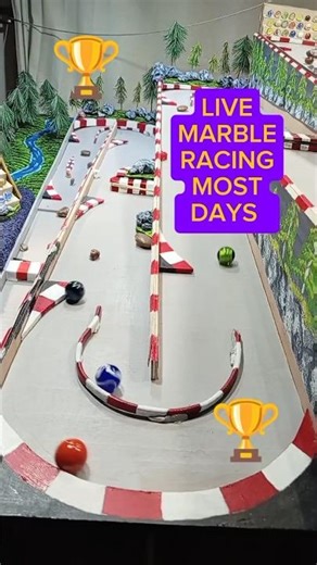 MARBLE RACE LIVE MOST DAYS. MARBLE RUN. F1.
