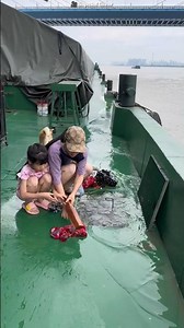 Their lives are so beautiful, aren't they? #shortsvideo