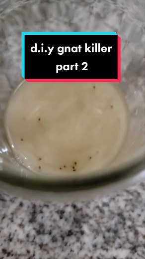 Homemade Gnat Killing Spray | DIY Digital Hunt a Killer Game