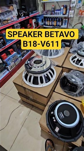 SPEAKER BETAVO B18-V611