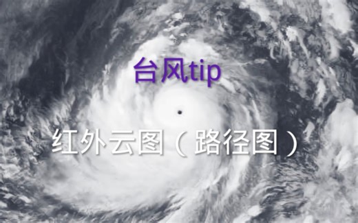 台风tip IR（红外）卫星云图