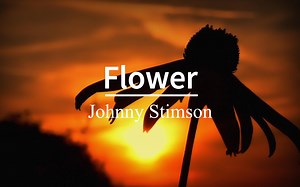 “让我幸福的是听到首好听的歌 ”《Flower》