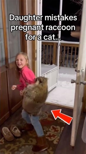 PREGNANT RACCOON: Unexpected Rescue #shorts #viralshorts