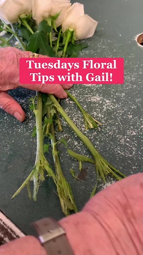 Reviving Your Flowers: Gail's Floral Tips