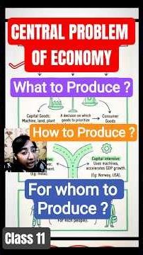 CLASS 11 ECONOMICS CHAPTER 1 #class11economics #economics #commerce #humanities #upsc #cbse #rbse