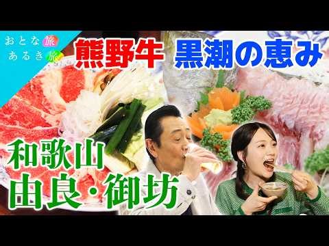 【春めく和歌山🌊由良・御坊】自然が織りなす海岸美×地元グルメ 神秘の絶景～朝どれ海鮮～伝統染め～熊野牛～せち焼き#おとな旅あるき旅 #traveljapan #三田村邦彦 #上原美穂