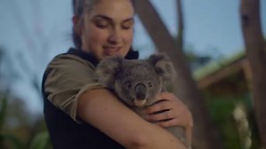 136K views · 10K reactions | 殺 Two Minutes of pure koala cuteness to melt your heart 殺 | Symbio Wildlife Park | Facebook