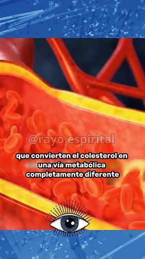 Hubo un estudio realizado en la Universidad Estatal de Ohio 🙏Gracias a todas las personas que leyeron nuestro libro “Despierta tus Poderes Mentales” donde les mostramos información que poca gente conoce para despertar y trascender la mente 💡 link en nuestro perfil o comenta "LIBRO" 👈 Comenta "AMAZON" si lo prefieres en físico 📘 | Rayo Espiritual