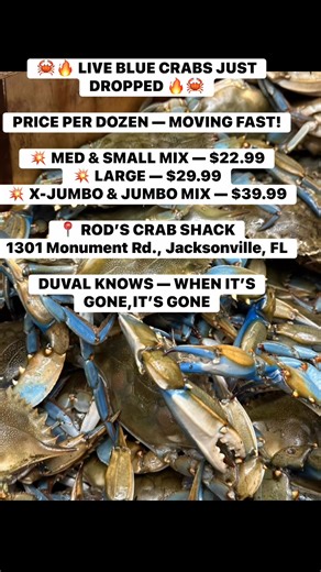 🦀🔥 LIVE BLUE CRABS JUST DROPPED 🔥🦀 PRICE PER DOZEN — MOVING FAST! 💥 MED & SMALL MIX — $22.99 💥 LARGE — $29.99 💥 X-JUMBO & JUMBO MIX — $39.99 📍 ROD’S CRAB SHACK 1301 Monument Rd., Jacksonville, FL DUVAL KNOWS — WHEN IT’S GONE, IT’S GONE 🐆💨 COMMENT 🦀 IF YOU PULLING UP 👇 | 𝐑𝐨𝐝’𝘀 𝗖𝗿𝗮𝗯 𝗦𝗵𝗮𝗰𝗸 𝗠𝗼𝗻𝘂𝗺𝗲𝗻𝘁 𝗥𝗱