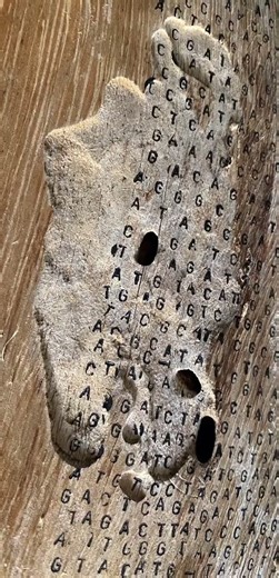 Anthropocene/ Honolulu, HI 2025