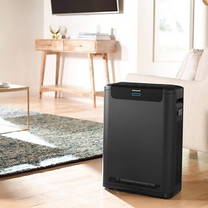 Honeywell HPA600 Air Purifier - Elliot Cohen