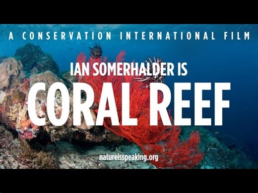 Nature Is Speaking : Listen To The Coral Reef