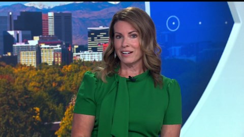 As Summer heats up, the bugs are out in Colorado