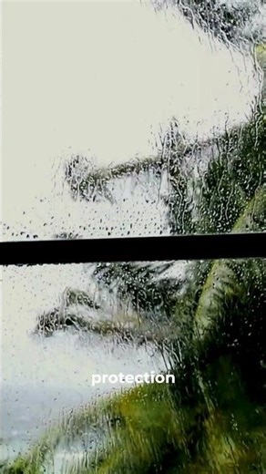 Why Standard Windows Fail in Coastal Storms