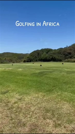 Intense Cobra Encounter While Golfing in Africa
