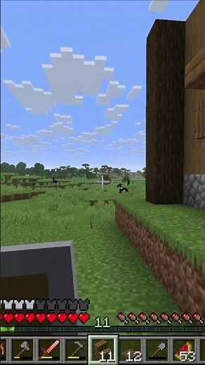 Wir verbessern die Fenster unseres Hauses in Minecraft