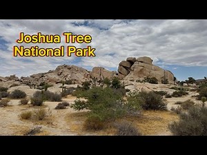 Joshua Tree National Park Day trip in July