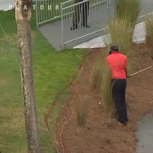 557K views · 6K reactions | ... In today's edition of "Golf is Hard" | PGA TOUR | Facebook